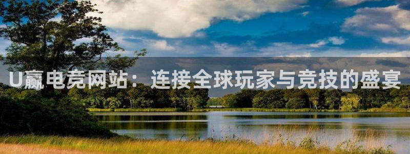 威客电竞·(中国)VKGAMING：U赢电竞网站：连接全球玩家与竞技的盛宴