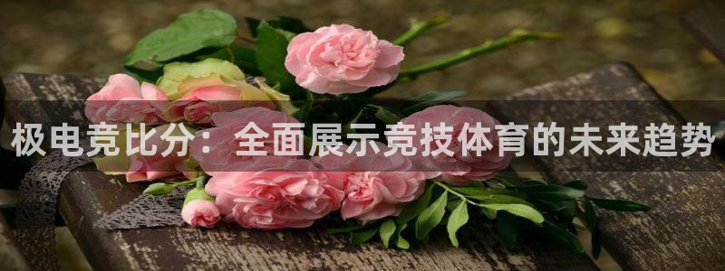 vkgame 威客电竞：极电竞比分：全面展示竞技体育的未来趋势