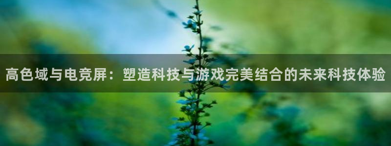 威客电竞官网下载：高色域与电竞屏：塑造科技与游戏完美结合的未来科技体验