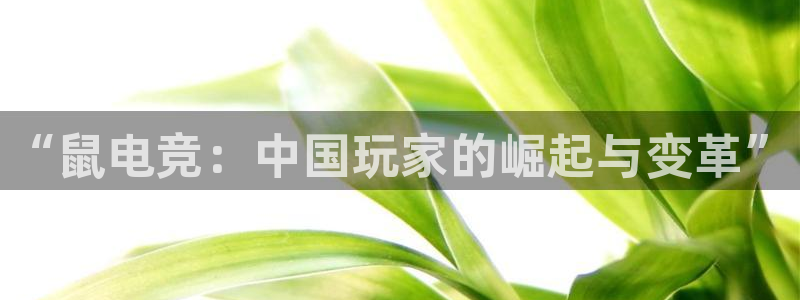 威客电竞VKGAME：“鼠电竞：中国玩家的崛起与变革”