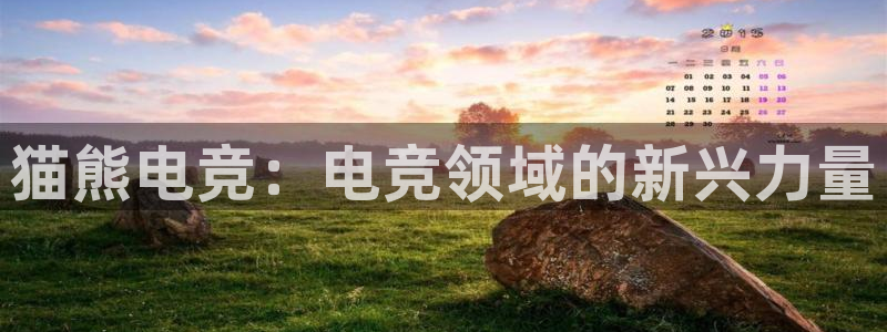 威客电竞·(中国)VKGAMING：猫熊电竞：电竞领域的新兴力量