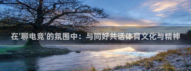 vkgame威客电竞：在\'聊电竞\'的氛围中：与同好共话体育文化与精神
