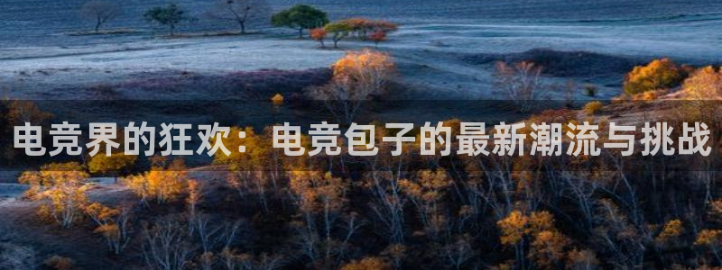 威客电竞客：电竞界的狂欢：电竞包子的最新潮流与挑战