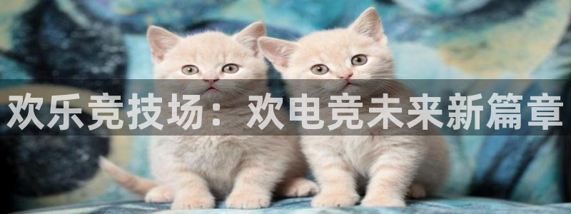 威客电竞酒店：欢乐竞技场：欢电竞未来新篇章