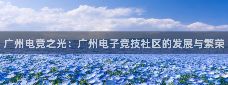 威客电竞网页版入口：广州电竞之光：广州电子竞技社区的发展与繁荣