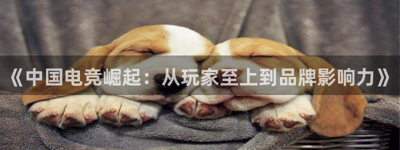 vkgame 威客电竞：《中国电竞崛起：从玩家至上到品牌影响力》